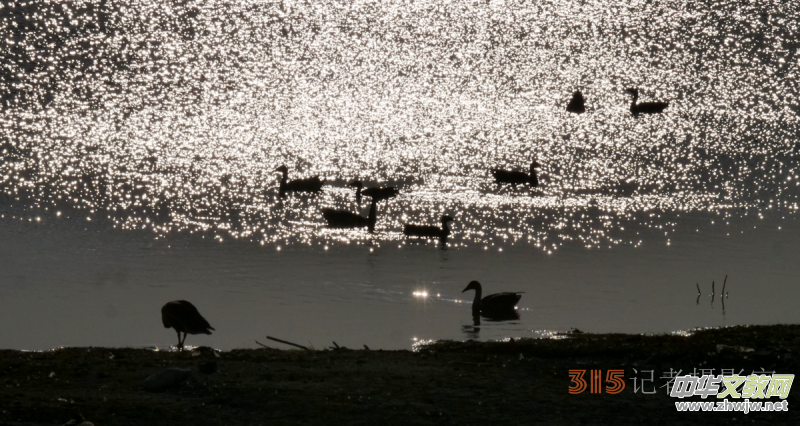 Ц���zӰ���Ϻ��ӹ��@����Ͱ����Z