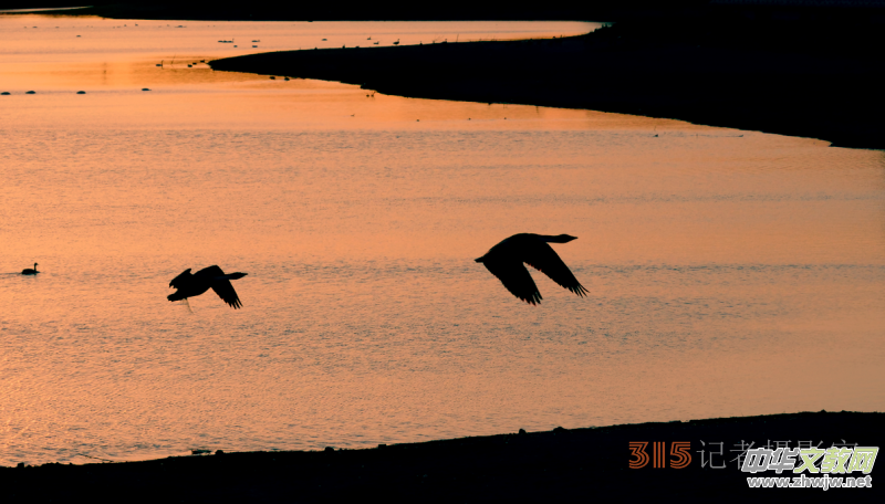 Ц���zӰ���Ϻ��ӹ��@����Ͱ����Z