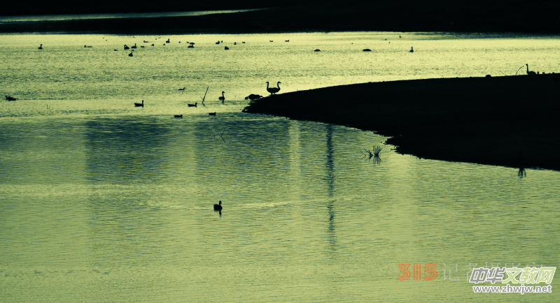 Ц���zӰ���Ϻ��ӹ��@����Ͱ����Z