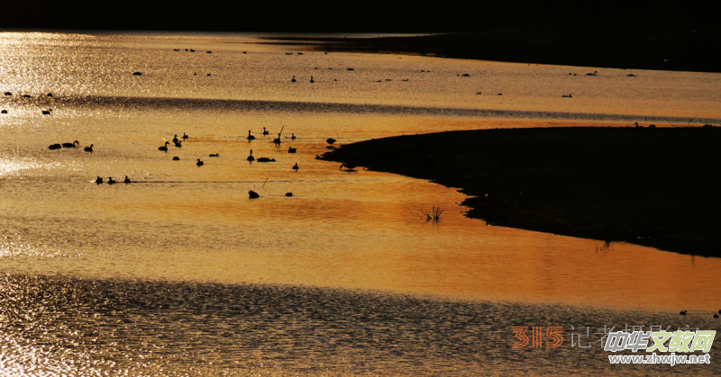 Ц���zӰ���Ϻ��ӹ��@����Ͱ����Z