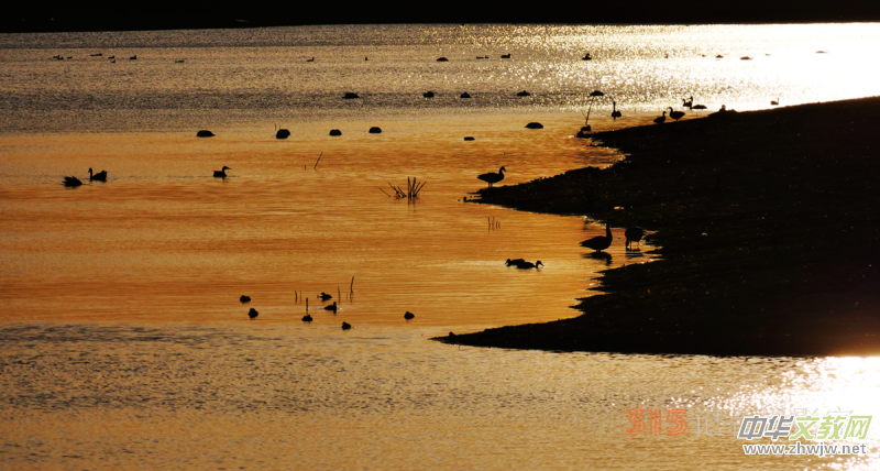 Ц���zӰ���Ϻ��ӹ��@����Ͱ����Z