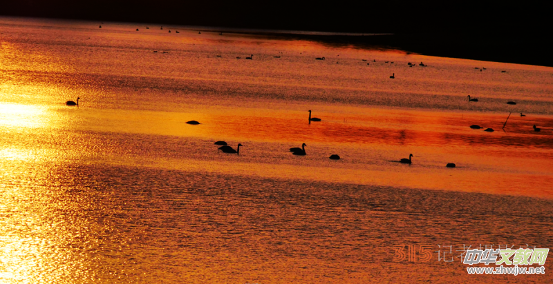 Ц���zӰ���Ϻ��ӹ��@����Ͱ����Z