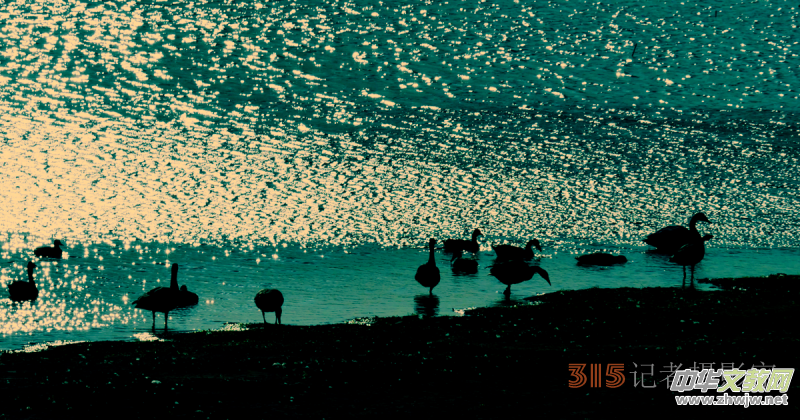 Ц���zӰ���Ϻ��ӹ��@����Ͱ����Z