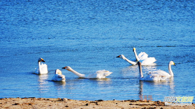 Ц���zӰ���Ϻ��ӹ��@����Ͱ����Z