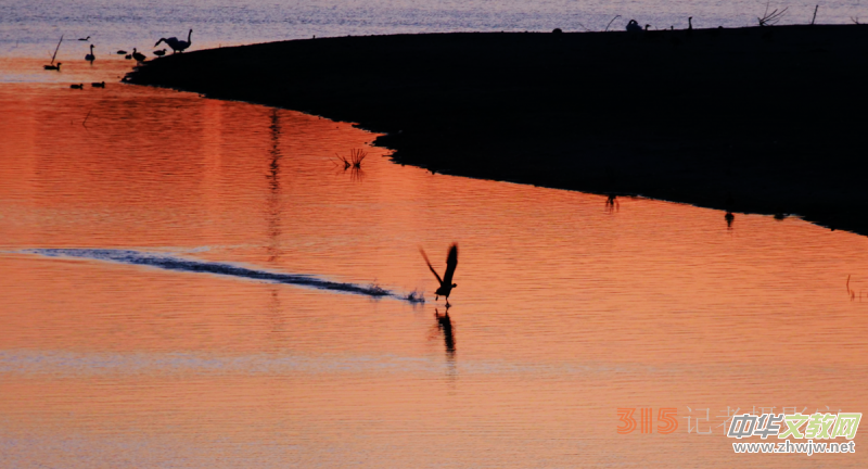 Ц���zӰ���Ϻ��ӹ��@����Ͱ����Z