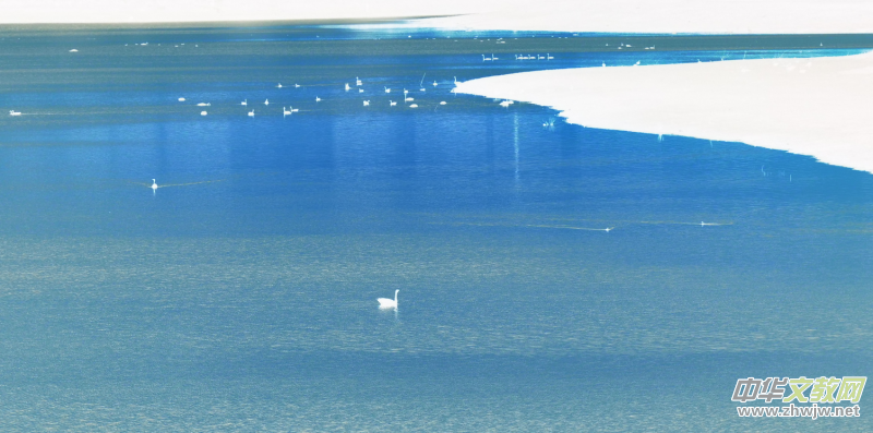 Ц���zӰ���Ϻ��ӹ��@����Ͱ����Z