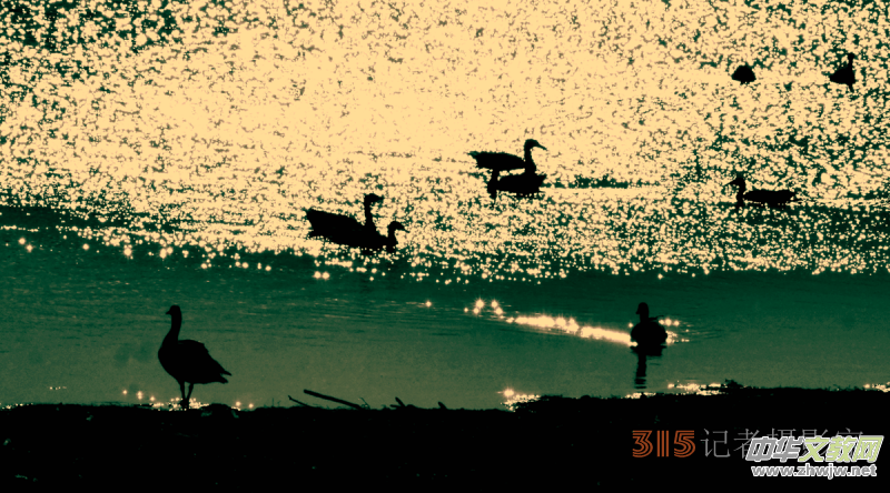 Ц���zӰ���Ϻ��ӹ��@����Ͱ����Z