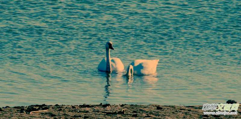 Ц���zӰ���Ϻ��ӹ��@����Ͱ����Z