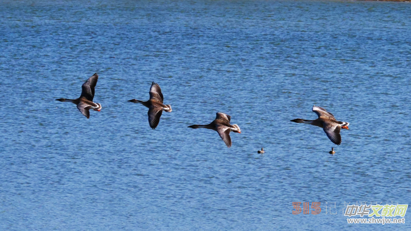 Ц���zӰ���Ϻ��ӹ��@����Ͱ����Z