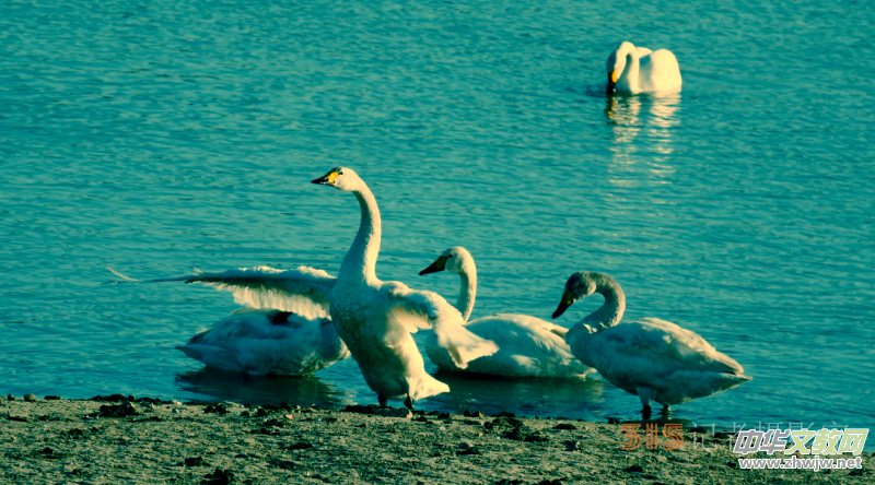 Ц���zӰ���Ϻ��ӹ��@����Ͱ����Z