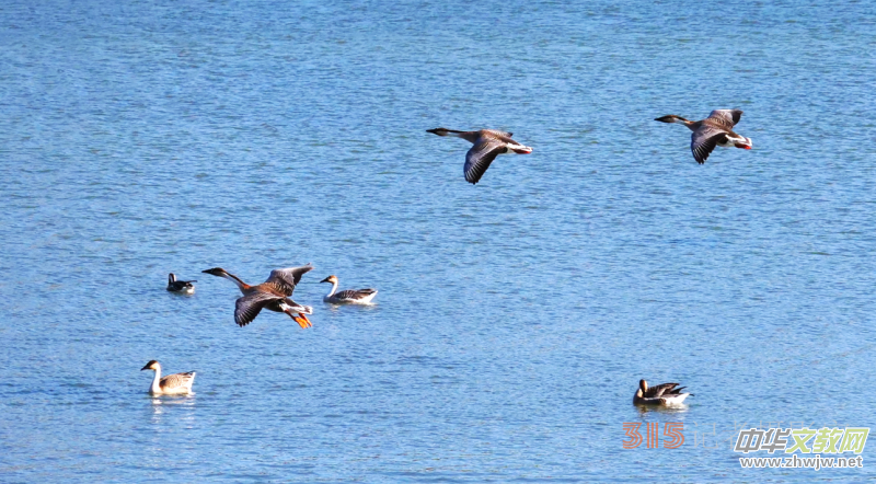 Ц���zӰ���Ϻ��ӹ��@����Ͱ����Z