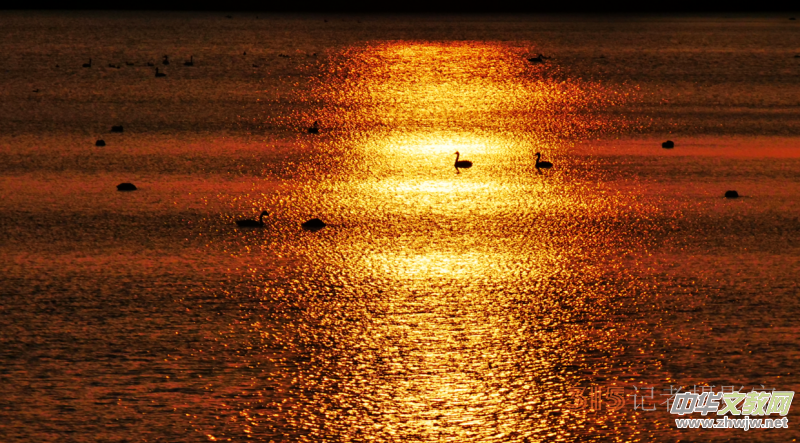 Ц���zӰ���Ϻ��ӹ��@����Ͱ����Z