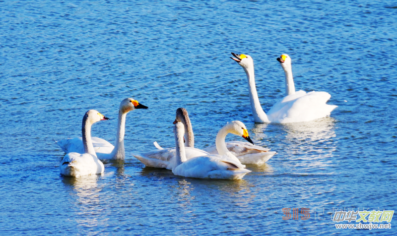 Ц���zӰ���Ϻ��ӹ��@����Ͱ����Z