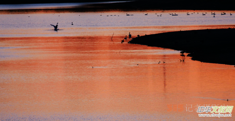 Ц���zӰ���Ϻ��ӹ��@����Ͱ����Z