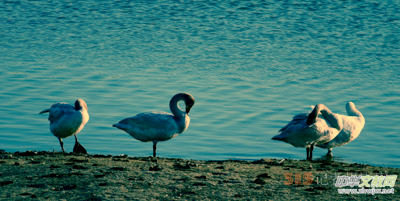 Ц���zӰ���Ϻ��ӹ��@����Ͱ����Z