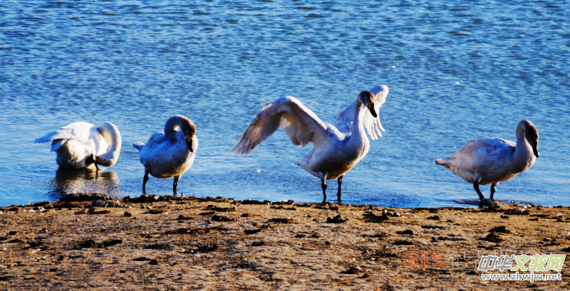 Ц���zӰ���Ϻ��ӹ��@����Ͱ����Z