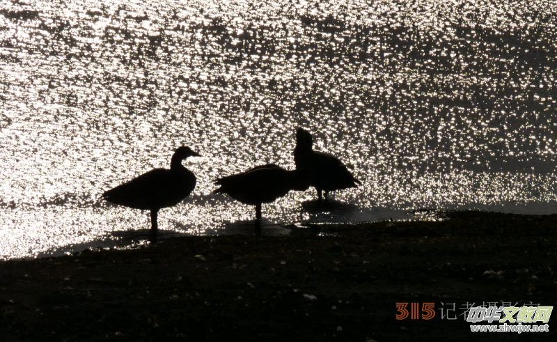 Ц���zӰ���Ϻ��ӹ��@����Ͱ����Z