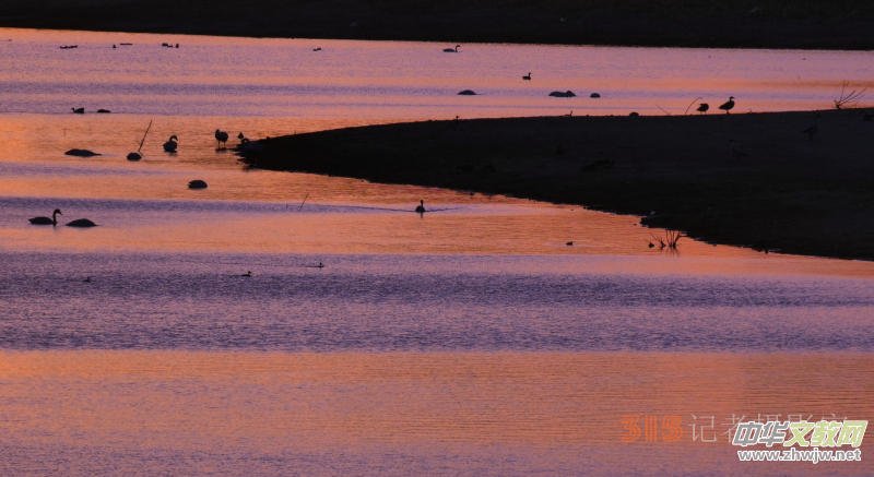 Ц���zӰ���Ϻ��ӹ��@����Ͱ����Z