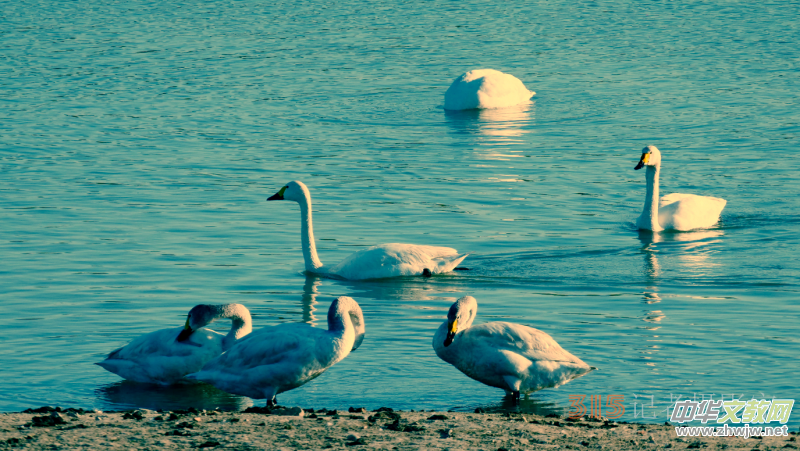 Ц���zӰ���Ϻ��ӹ��@����Ͱ����Z