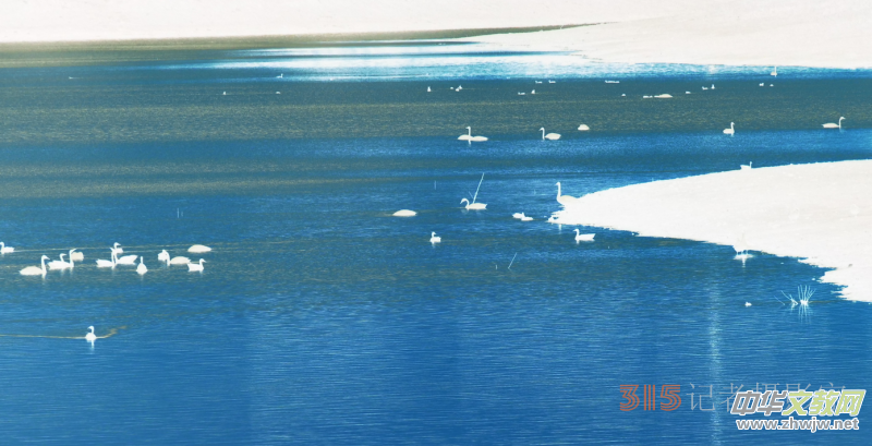 Ц���zӰ���Ϻ��ӹ��@����Ͱ����Z