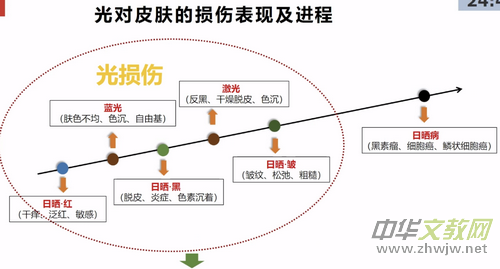 �ü���:׌Ƥ�w�o�ֹ�p���������`��