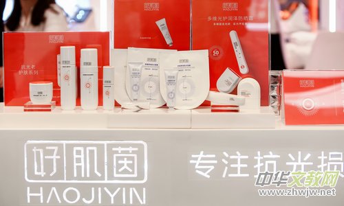 �ü���:׌Ƥ�w�o�ֹ�p���������`��