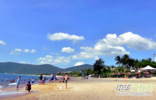 �ü���:׌Ƥ�w�o�ֹ�p���������`��