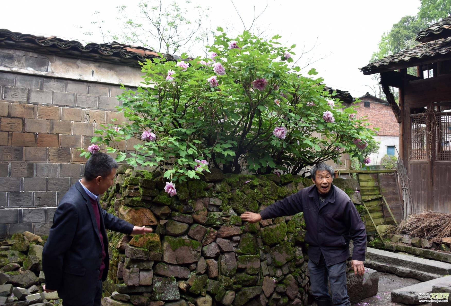 �����V�S������ĵ�� �@�G�������