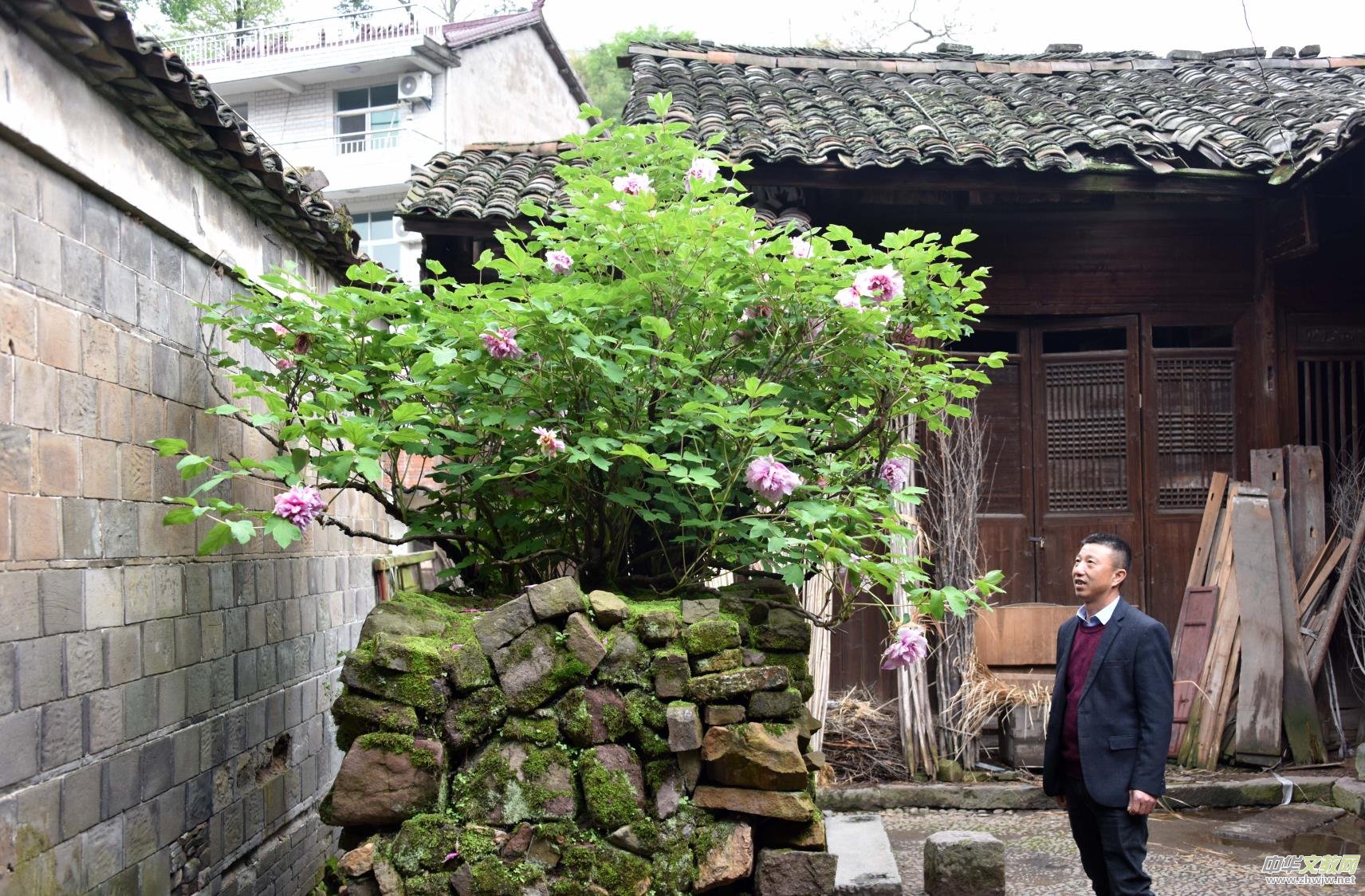 �����V�S������ĵ�� �@�G�������