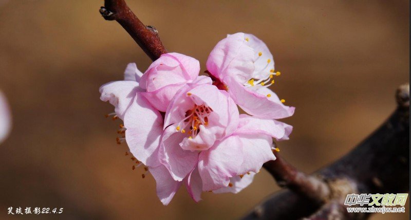 Ц���zӰ�� ���ϴ��F�Q����߅�ӻ���