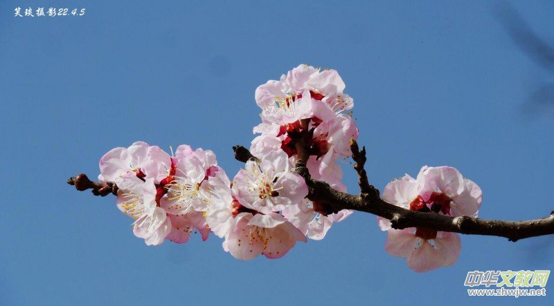 Ц���zӰ�� ���ϴ��F�Q����߅�ӻ���