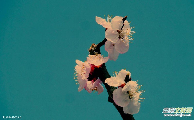 Ц���zӰ�� ���ϴ��F�Q����߅�ӻ���