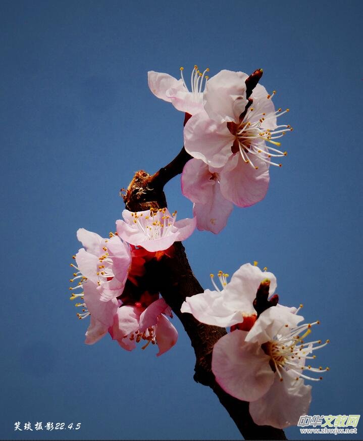 Ц���zӰ�� ���ϴ��F�Q����߅�ӻ���