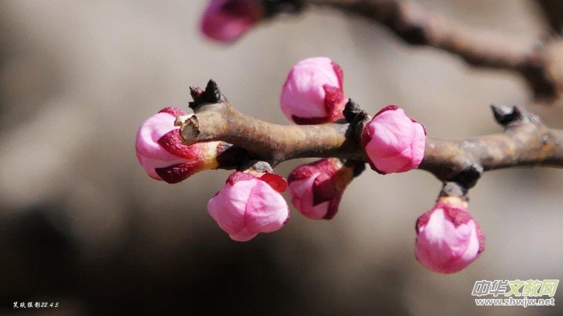 Ц���zӰ�� ���ϴ��F�Q����߅�ӻ���