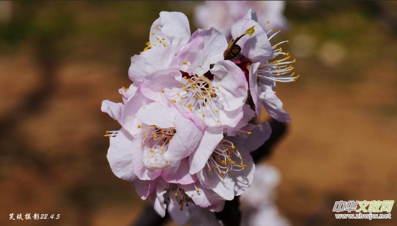 Ц���zӰ�� ���ϴ��F�Q����߅�ӻ���