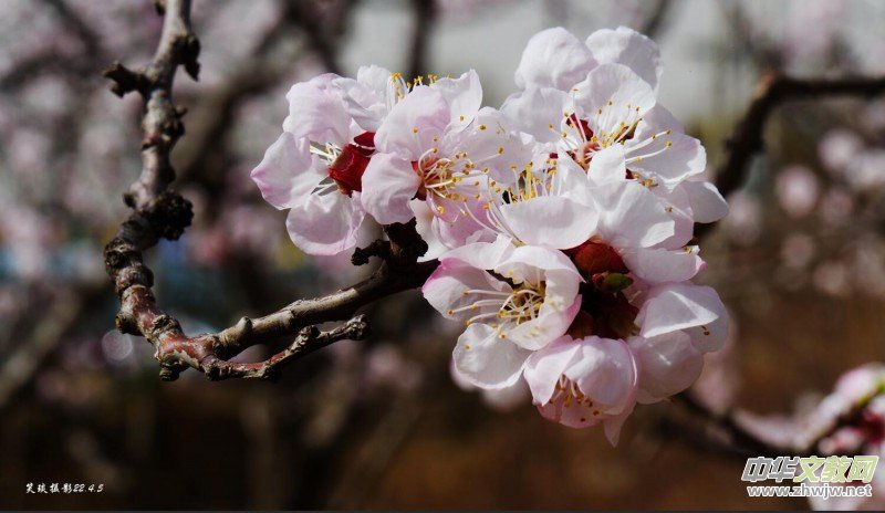 Ц���zӰ�� ���ϴ��F�Q����߅�ӻ���