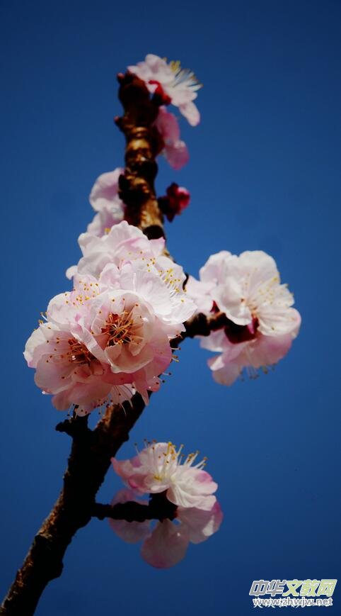 Ц���zӰ�� ���ϴ��F�Q����߅�ӻ���