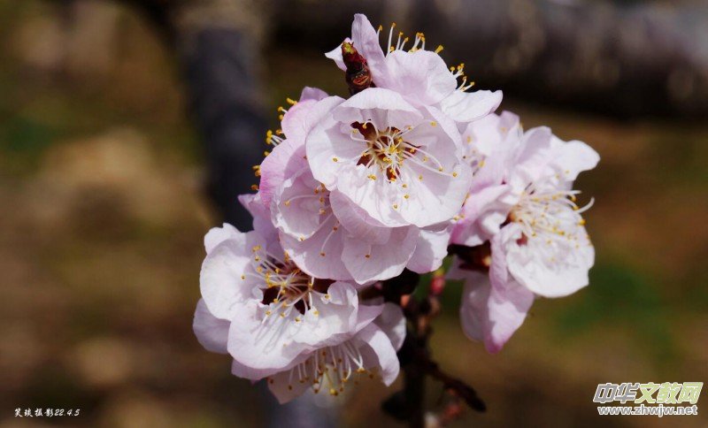 Ц���zӰ�� ���ϴ��F�Q����߅�ӻ���