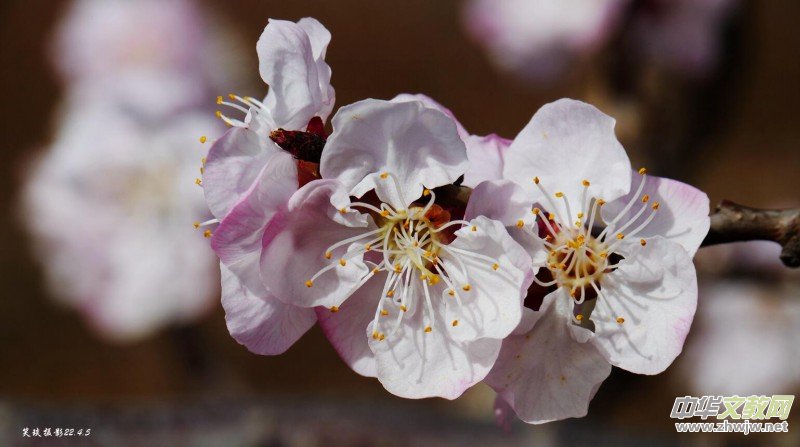 Ц���zӰ�� ���ϴ��F�Q����߅�ӻ���