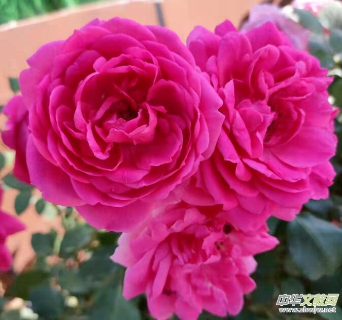 ٝ��  �����m