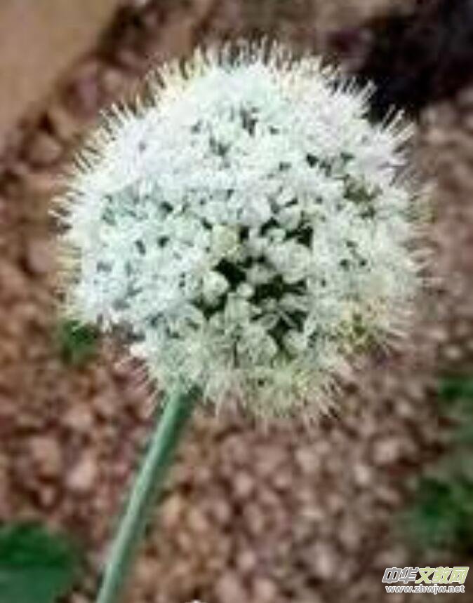 ٝ��  �����m