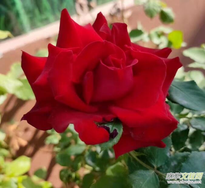 ٝ��  �����m