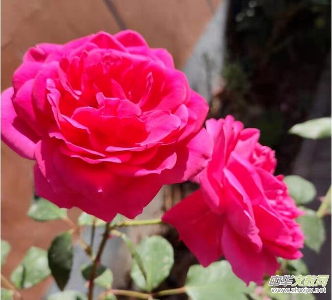 ٝ��  �����m