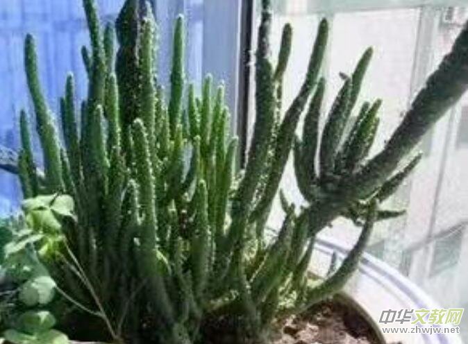 ٝ��  �����m