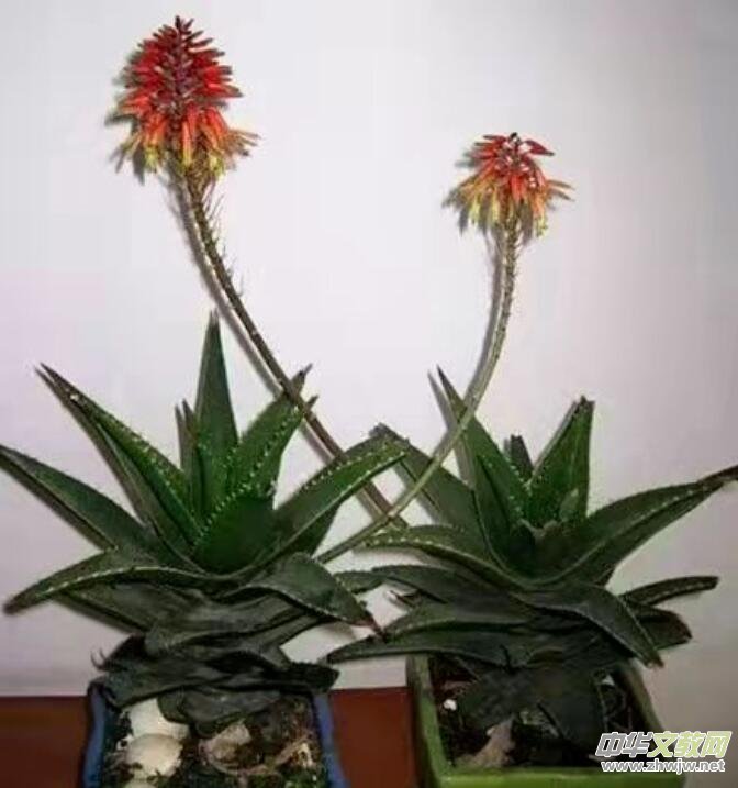 ٝ��  �����m