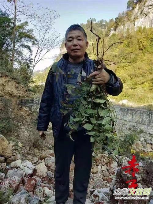 ���t(y��)�������Ό��ҷ�����