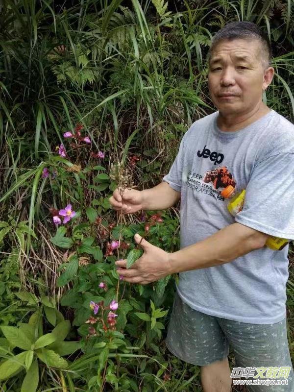 ���t(y��)�������Ό��ҷ�����