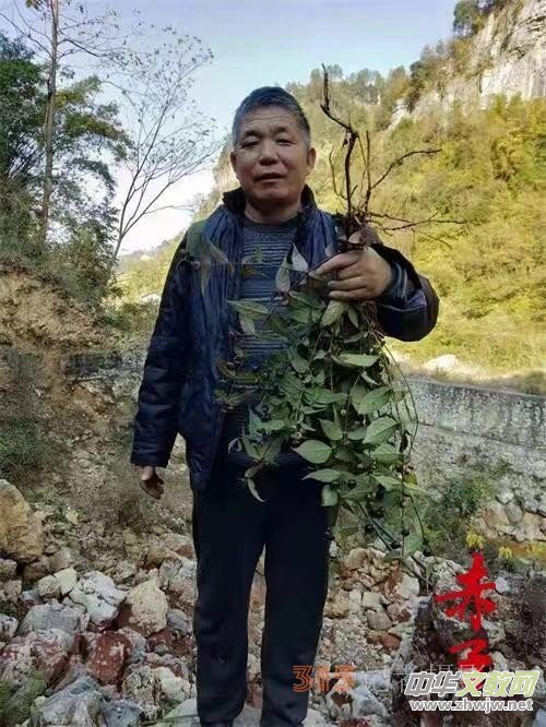 �߼�����䯟���ҷ�����