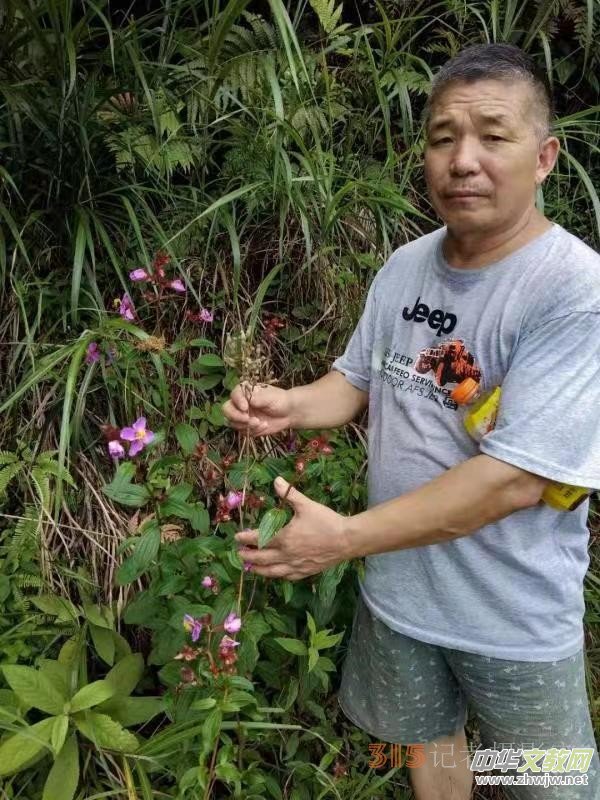 �߼�����䯟���ҷ�����