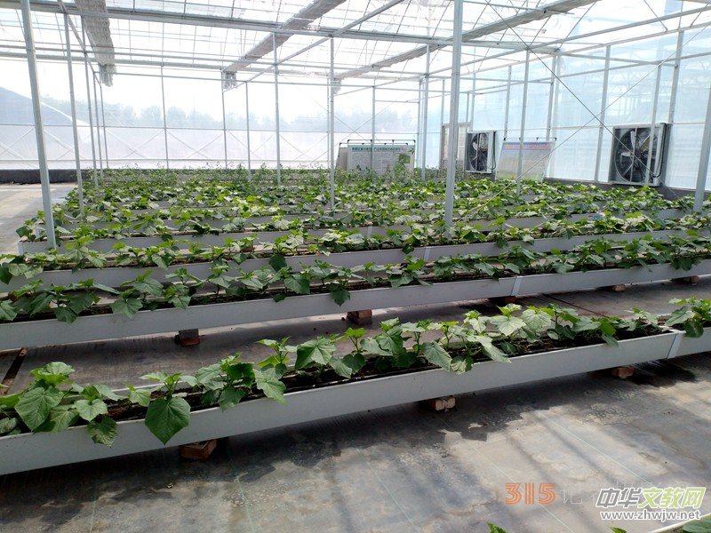 ���ϰ�����󶼅^(q��)�����(zh��n)�|��������AAA�����l(xi��ng)���(c��)ӛ